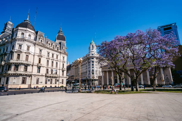 Beautiful old buildings and trees in blossom on Plaza de Mayo, Buenos Aires, Argentina.