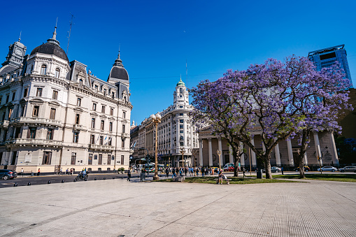 Beautiful old buildings and trees in blossom on Plaza de Mayo, Buenos Aires, Argentina.