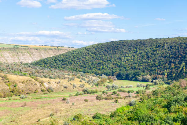 istock Green landscape with hills and forest 1344766570