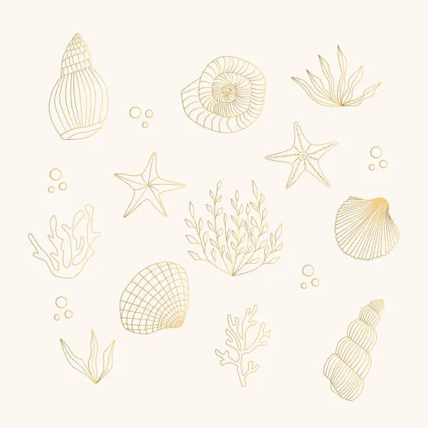 Vector illustration of Set of golden shells, starfish, algae, coral. Vector isolated illustration.