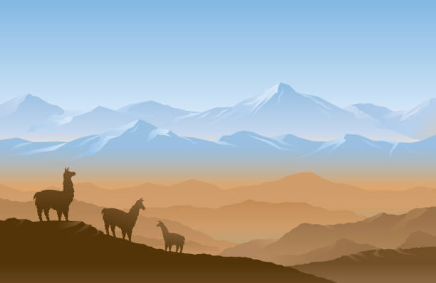 Andes Mountain Range Landscape Background Natural Scenery and Environment View andes stock illustrations