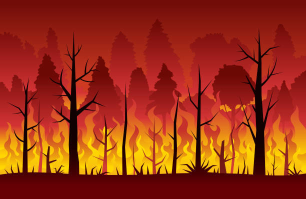 Wildfire, Forest Fire, Background Natural Disaster, Vector Illustration Landscape forest fire stock illustrations
