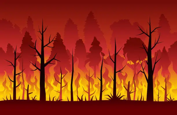 Vector illustration of Wildfire, Forest Fire, Background