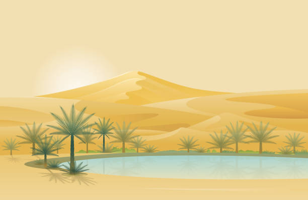 Oasis and Desert Background Natural Scenery and Environment View desert oasis stock illustrations