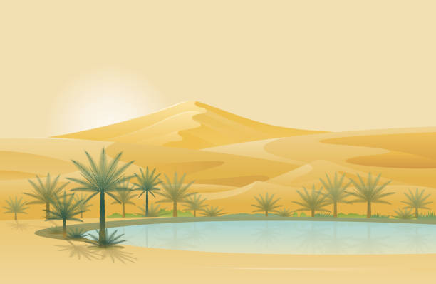 Oasis and Desert Background Natural Scenery and Environment View date palm tree stock illustrations