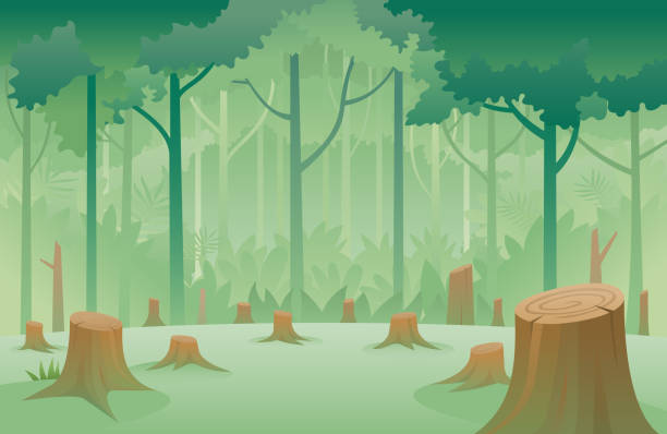 ilustraciones, imágenes clip art, dibujos animados e iconos de stock de tocones de árboles y antecedentes de deforestación - deforestación desastre ecológico