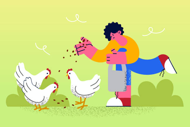 농장 동물과 마을 생활 개념 - poultry chicken baby chicken small stock illustrations