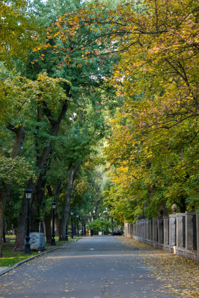 istock Autumn landscape in the Mariinsky Park 1344774018