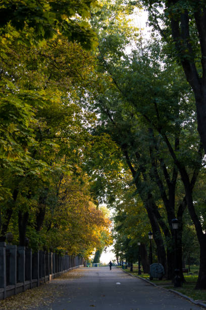 istock Autumn landscape in the Mariinsky Park 1344774032