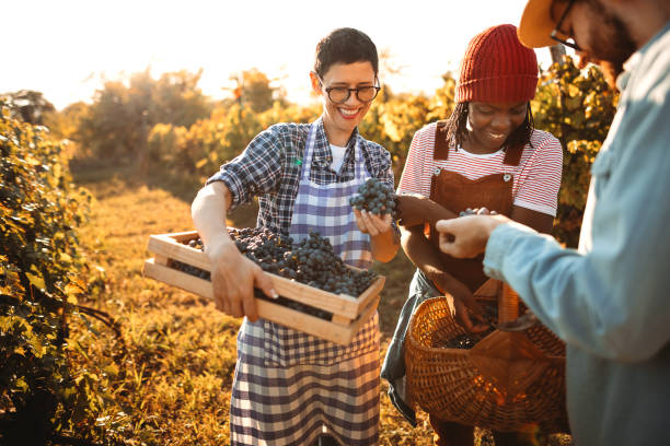 istock Small group of people in a winery 1344776844