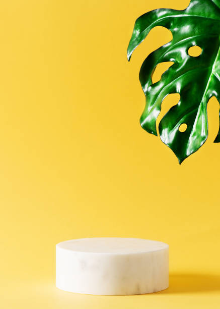 istock Stand and podium white stone cosmetics mock up 1344777417