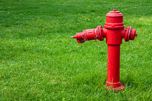 Bright red firehydrant in green bushes. High quality photo