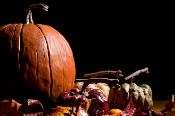 istock Autumn scene on black background. 1344778707