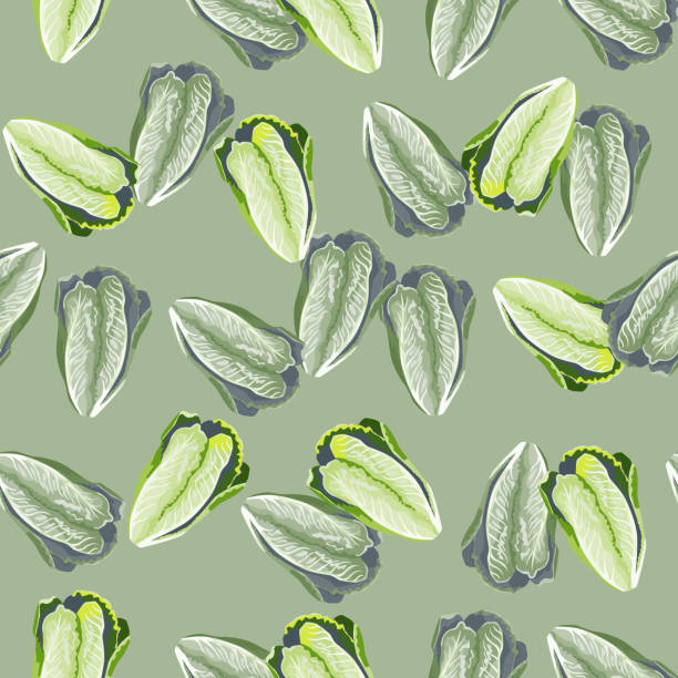 Seamless pattern lettuce Romano on pastel background. Modern texture with salad. Seamless pattern lettuce Romano on pastel background. Modern texture with salad. Random plant template for fabric. Design vector illustration. romano cheese stock illustrations