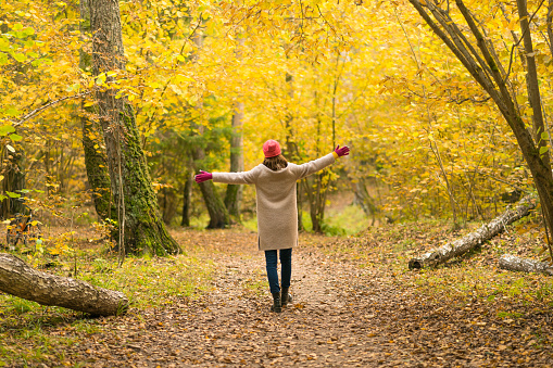 A woman walks in a beautiful autumn yellow forest and enjoys a walk