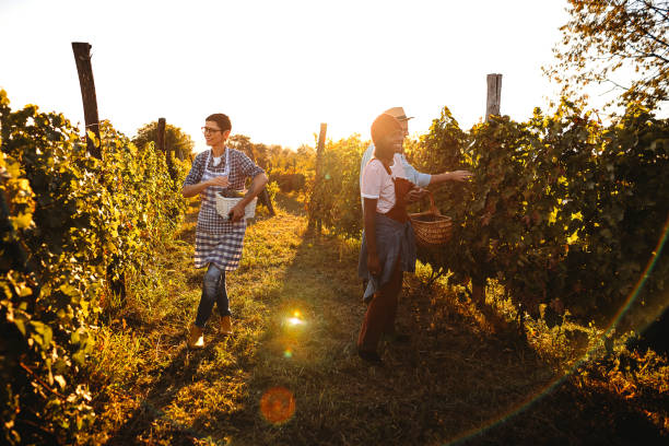 istock Small group of people in a winery 1344779390