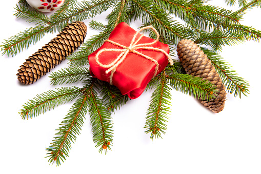 A pine branch with pinecones and decorations isolated on a white background.