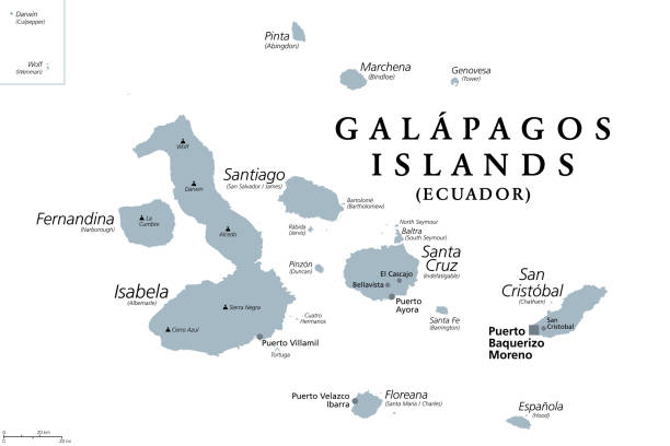 galapagos-inseln, graue politische karte, archipel, teil von ecuador - aktiver vulkan stock-grafiken, -clipart, -cartoons und -symbole