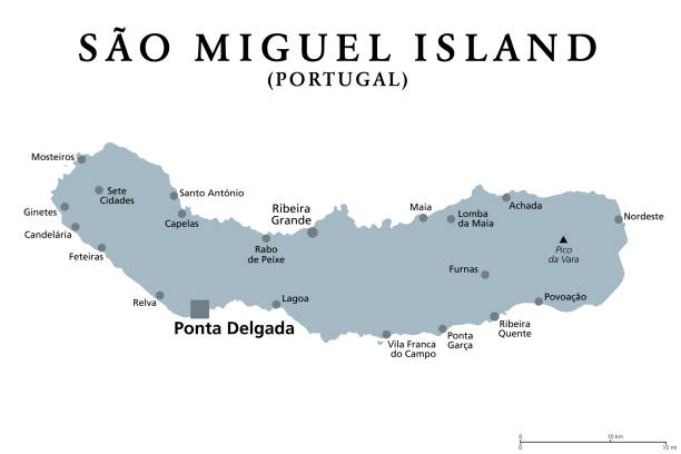 ilustrações de stock, clip art, desenhos animados e ícones de sao miguel island, azores, portugal, gray political map - ponta delgada