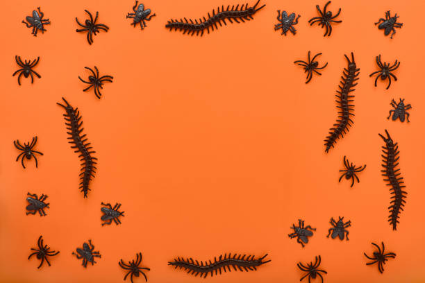 istock scary creative frame for Halloween celebration on orange background. decor for Halloween in the form of black color insects. concept for holiday postcard, banner with place for text. simple flat lay 1344787977