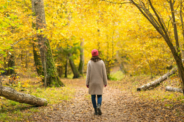 istock A woman walks in autumn yellow forest 1344788268