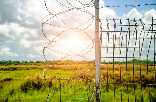 istock Barbed wire barrier in restricted area, barbed wire against sky with sun, barbed bottom view and morning sun. 1344789606