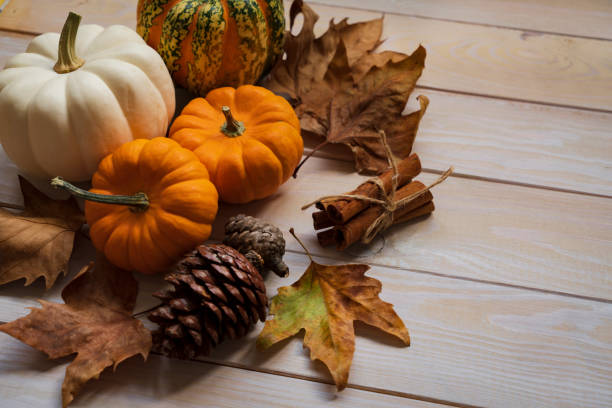 otoño - squash pumpkin orange japanese fall foliage fotografías e imágenes de stock