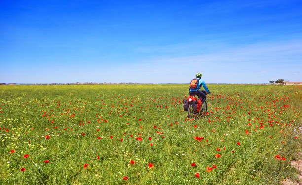 istock Biker by Camino de Santiago in bicycle 1344792973