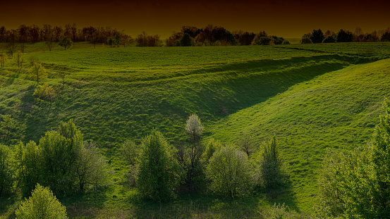 deciduous forest and flowering tree are among the hillsides. Spring season, April. Web banner.