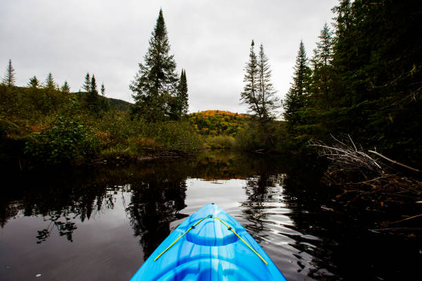 kajakfahren im kanadischen herbst, mont tremblant - laurentian moutains stock-fotos und bilder