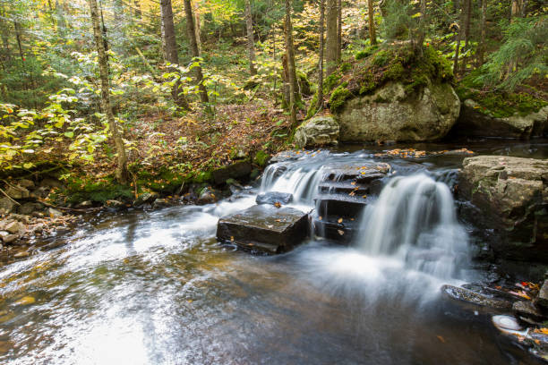 istock Colorful Canadian creek 1344795192