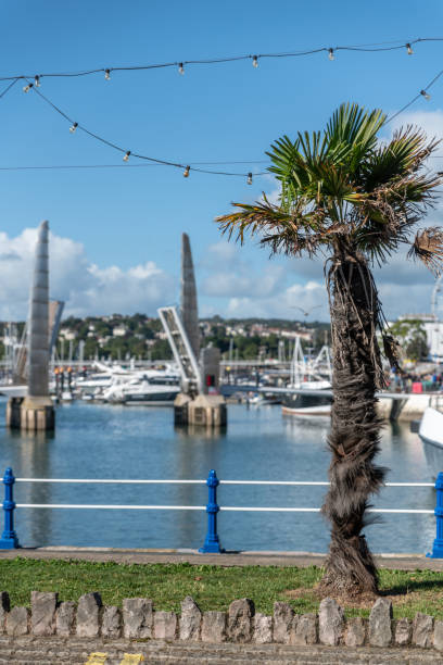 istock Palm trees by Torquay Harbour 1344795243