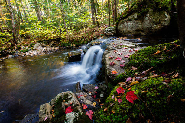 istock Colorful Canadian creek 1344795359