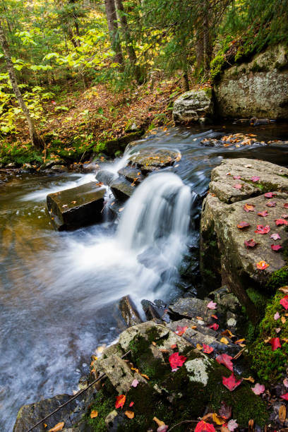istock Colorful Canadian creek 1344795373
