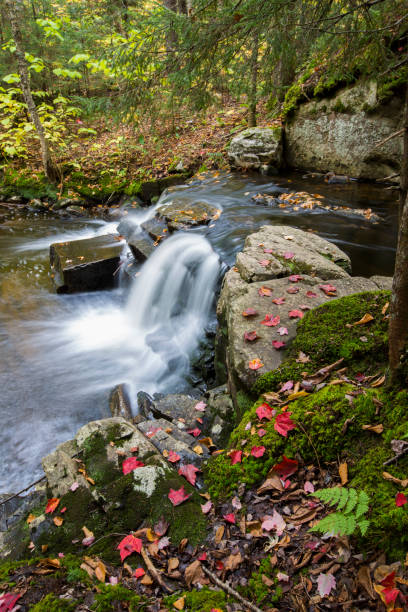 istock Colorful Canadian creek 1344795382