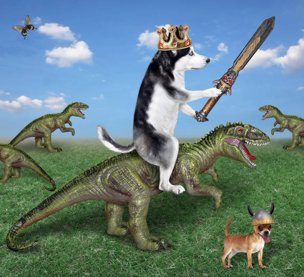 istock Dog husky king with sword riding rex 2 1344801995