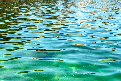 Reflections on the Sea Surface