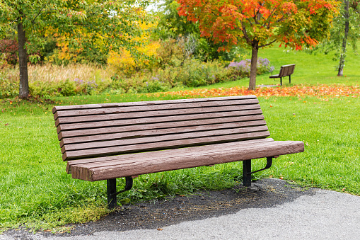 Autumn Park bench in Gothenburg, Sweden.
