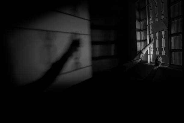 Woman in black hat and coat silhouette. Noir style.