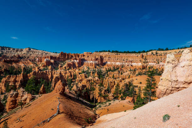 istock Hoo Doo's on the Navajo Trail in bryce Canyon Ampitheater 1344805850