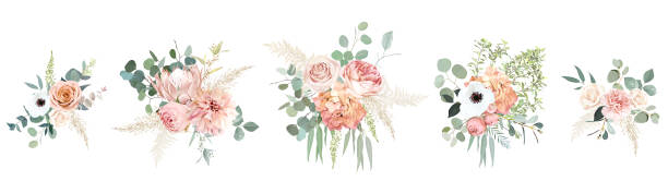 桃色のピンクのバラ、ラナンキュラス、白いアネモネ、乾燥プロテア、ダリアベクターデザインブーケ。 - bunch点のイラスト素材／クリップアート素材／マンガ素材／アイコン素材