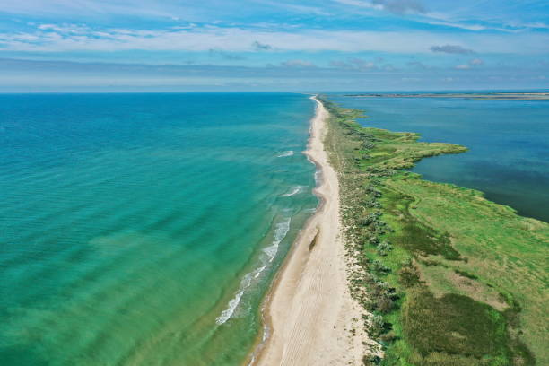 istock Aerial view of waves on a gritty tropical beach. 1344807390