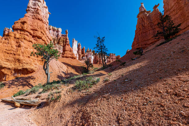 istock Queen Victoria's Garden in Bryce Canyon Ampitheater 1344808123