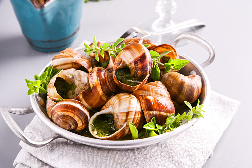 Delicious cooked sea escargo snails in a frying pan on a gray table. Snails baked with sauce, Baked snails with butter and spice . Traditional French cuisine. Copy space. close-up