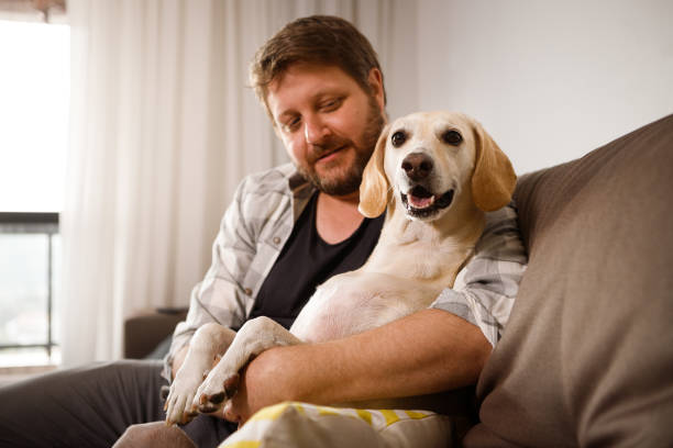 istock man on the couch with his pet dog 1344808507