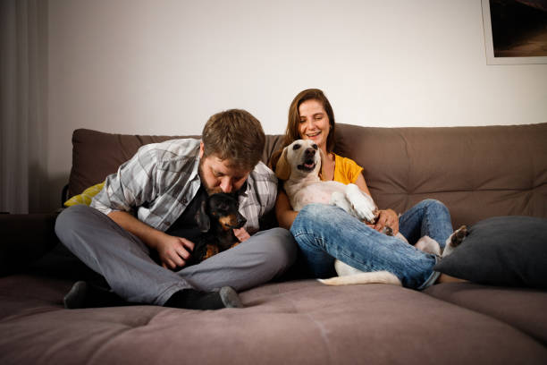 istock couple playing with their dogs at home 1344808680