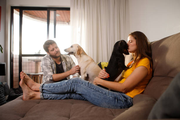 istock couple playing with their dogs at home 1344808728