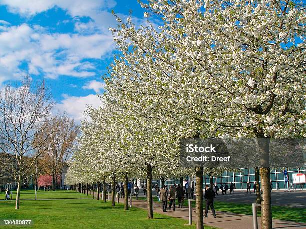 Foto de Businessmans Ao Ar Livre e mais fotos de stock de Andar - Andar, Hannover, Adulto