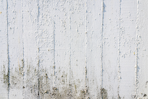 Damaged white concrete texture. Shot with a 35-mm full-frame 61MP Sony A7R IV.