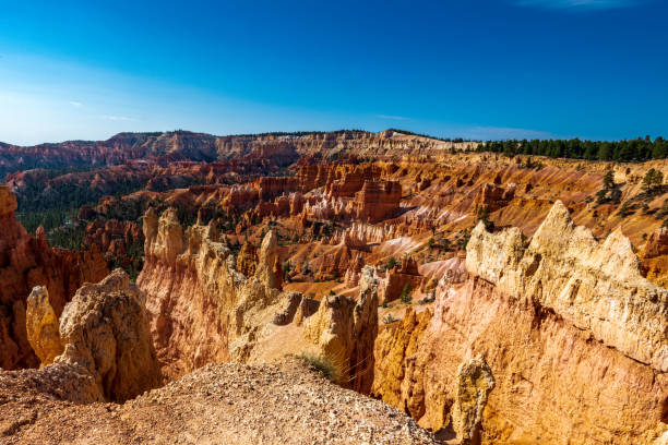 istock Hoo Doo's on the Navajo Trail in bryce Canyon Ampitheater 1344811321